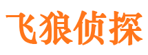 错那侦探